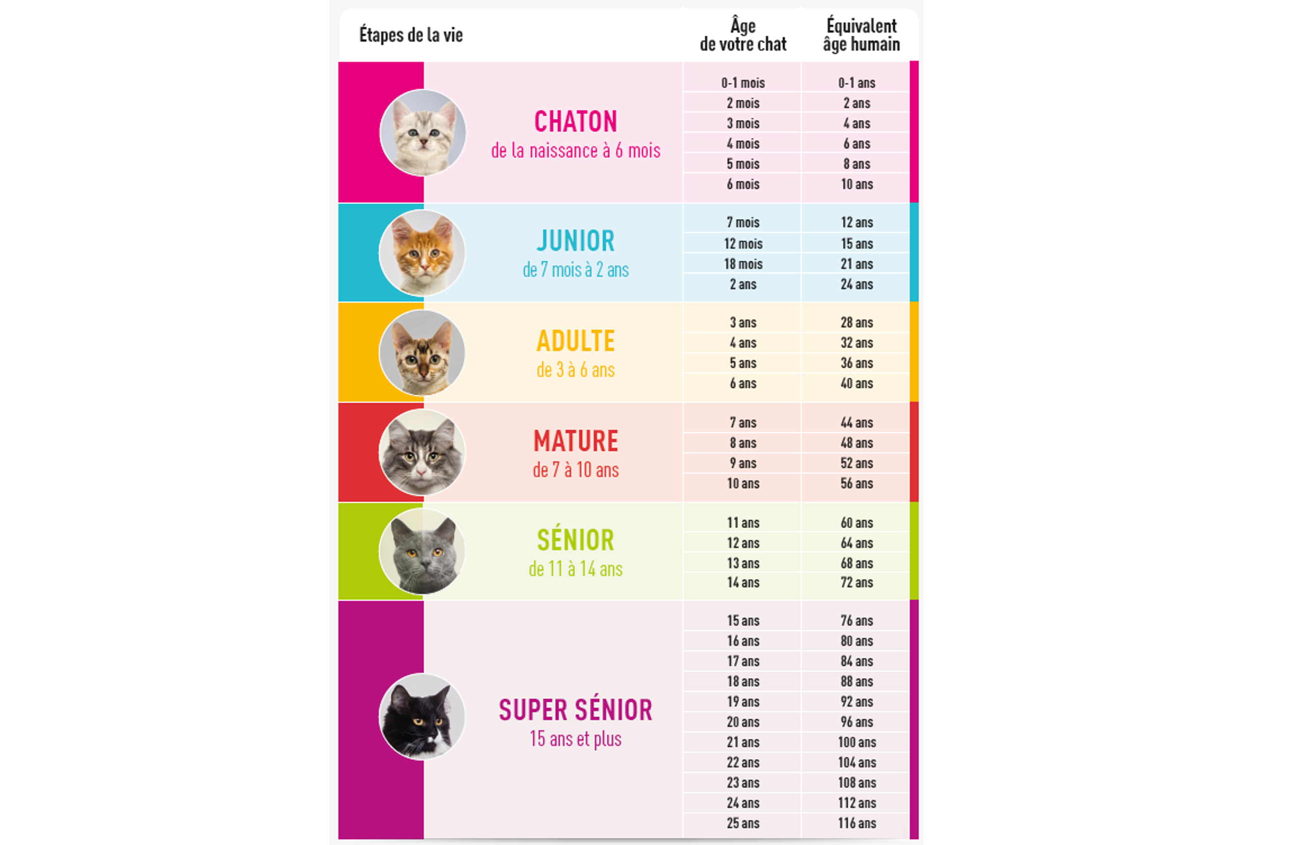 image_tableau_des_ages_du_chat.png