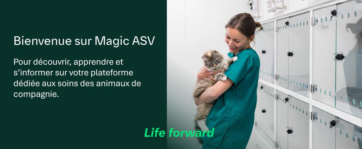 bienvenue sur votre plateforme